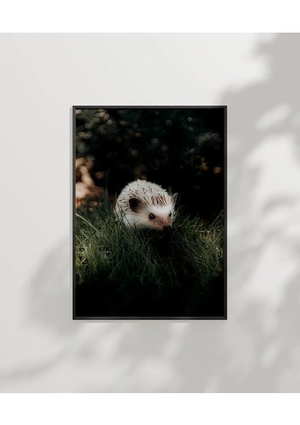 Çimenlerde Sansar Poster