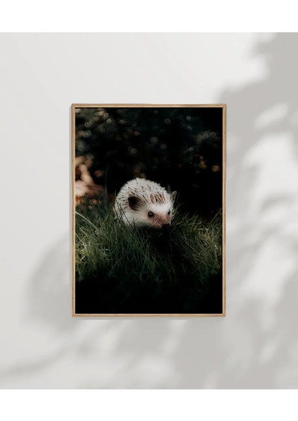 Çimenlerde Sansar Poster indirimleri