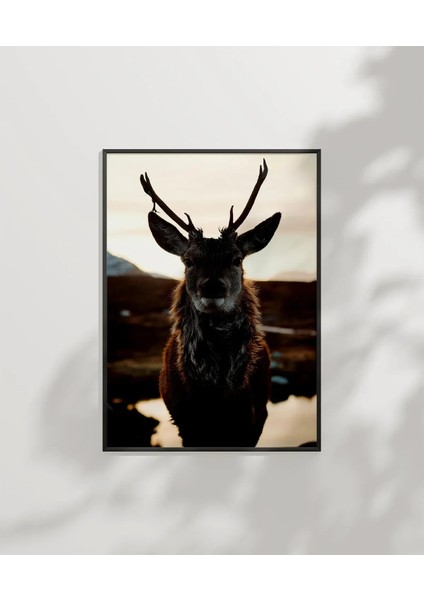 Göl Kenarında Geyik Poster