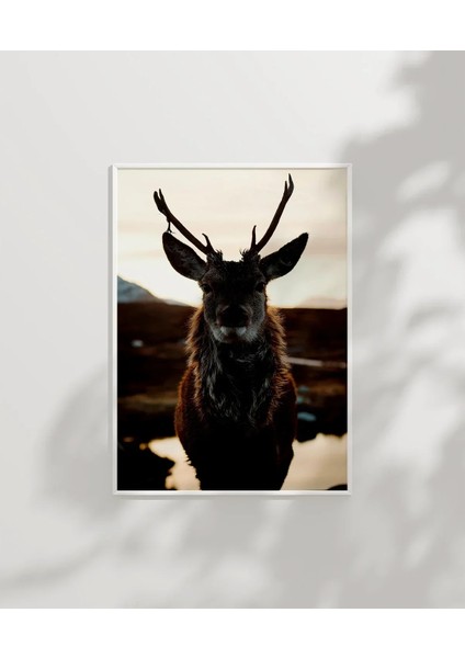 Göl Kenarında Geyik Poster modelleri