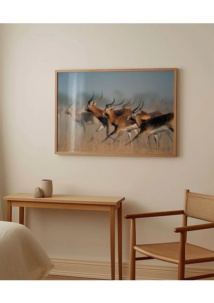 Koşan Ceylanlar Poster modelleri