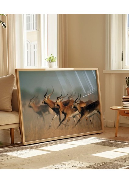 Koşan Ceylanlar Poster indirimleri