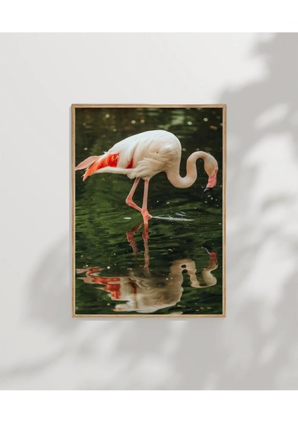 Su Kenarında Flamingo Poster modelleri