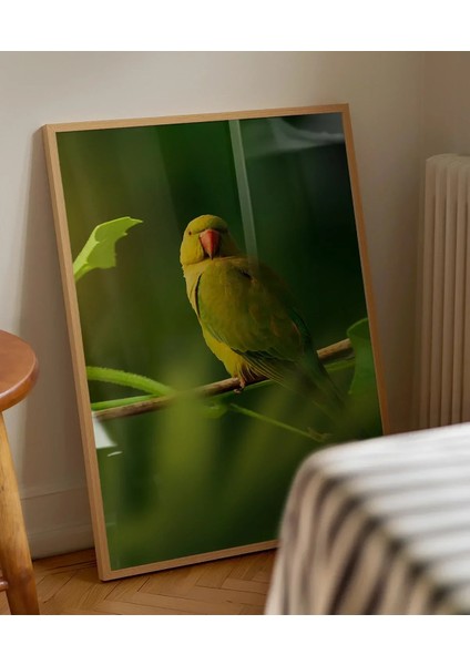 Dal Üzerinde Papağan Çifti Poster modelleri