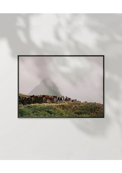 Dağlarda Inek Sürüsü Poster