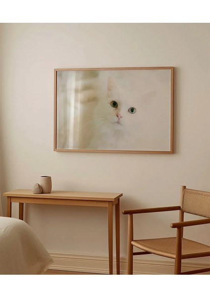 Beyaz Kedi Poster fırsatları