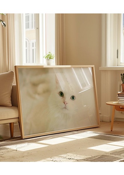 Beyaz Kedi Poster indirimleri