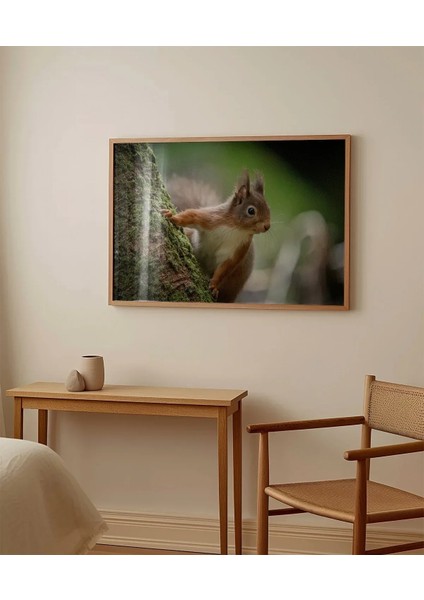 Dağ Sincabı Poster modelleri