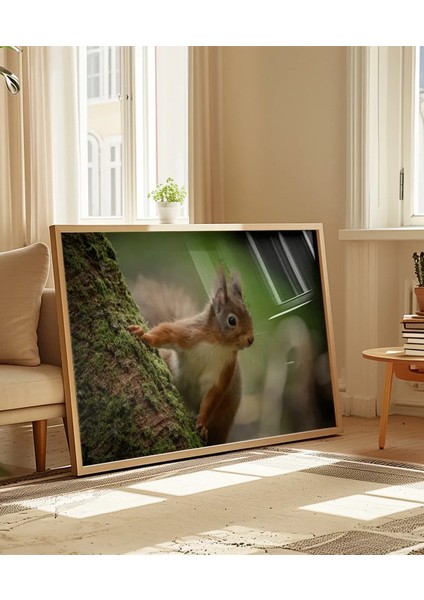 Dağ Sincabı Poster indirimleri