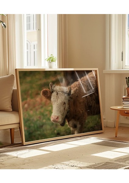 Çiftlik Sığırı Poster indirimleri