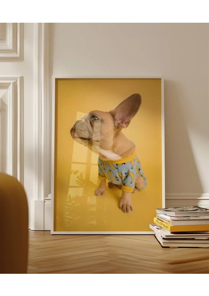 Sarı Fondaki Fransız Bulldog Poster indirimleri