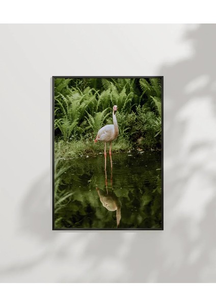 Gölette Turna Kuşu Poster