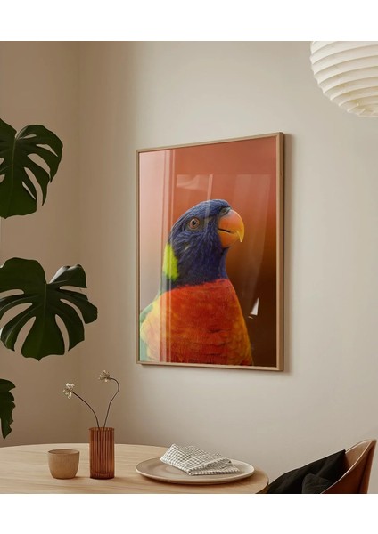Renkli Papağan Portresi Poster fırsatları