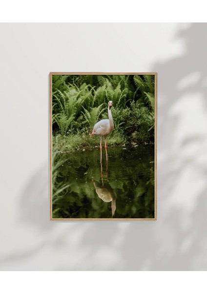 Gölette Turna Kuşu Poster modelleri