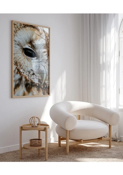 Uykulu Baykuş Poster fırsatları