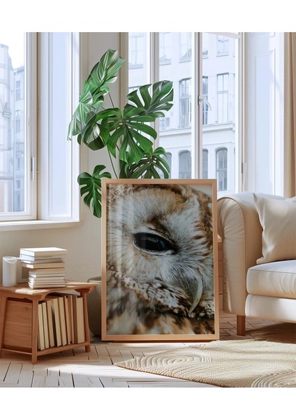 Uykulu Baykuş Poster indirimleri