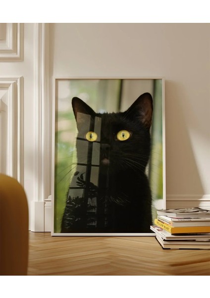Siyah Kedi Portresi Poster fırsatları
