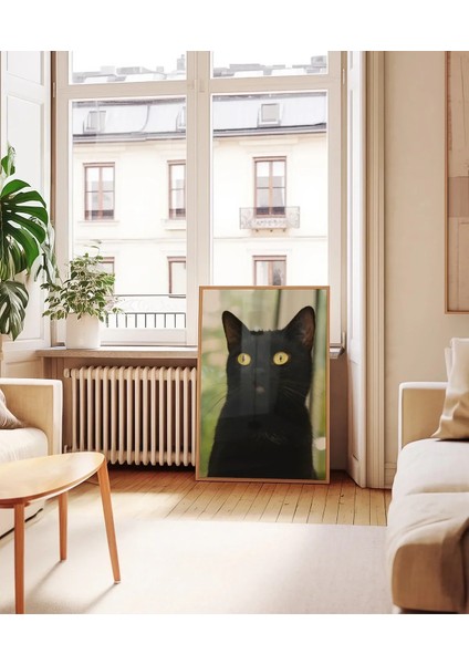 Siyah Kedi Portresi Poster indirimleri