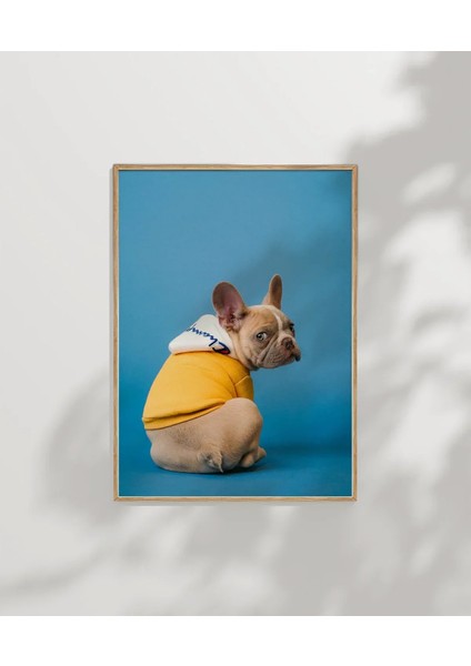 Mavi Fondaki Sarı Ceketli Köpek Poster modelleri