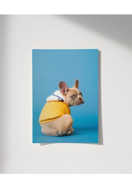 Mavi Fondaki Sarı Ceketli Köpek Poster indirimleri
