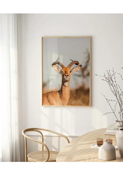 Zarif Ceylan Poster fırsatları