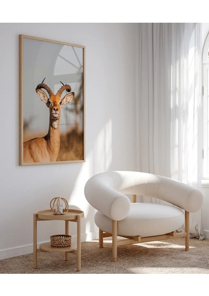 Zarif Ceylan Poster indirimleri