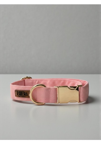 Candy Köpek Boyun Tasması -Charm Hediyeli