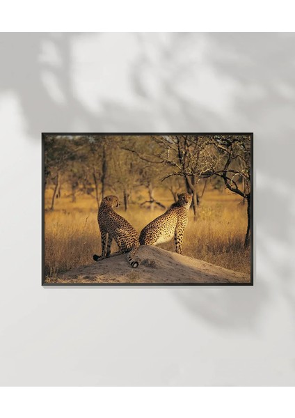 Çift Yırtıcı Kuşlar Poster