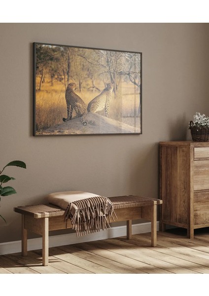 Çift Yırtıcı Kuşlar Poster modelleri