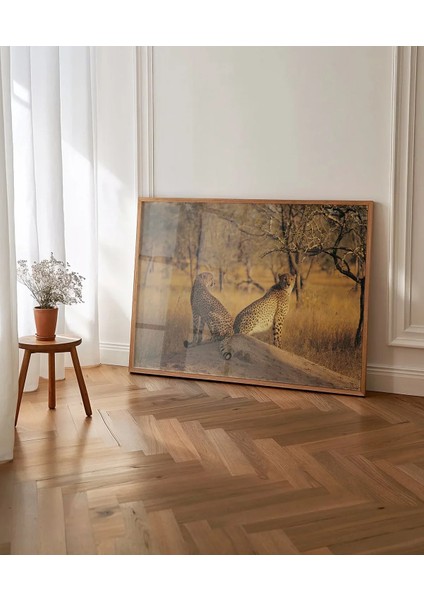 Çift Yırtıcı Kuşlar Poster fırsatları