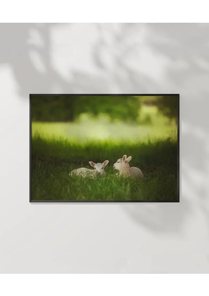 Geyik Bahar Ikilisi Poster