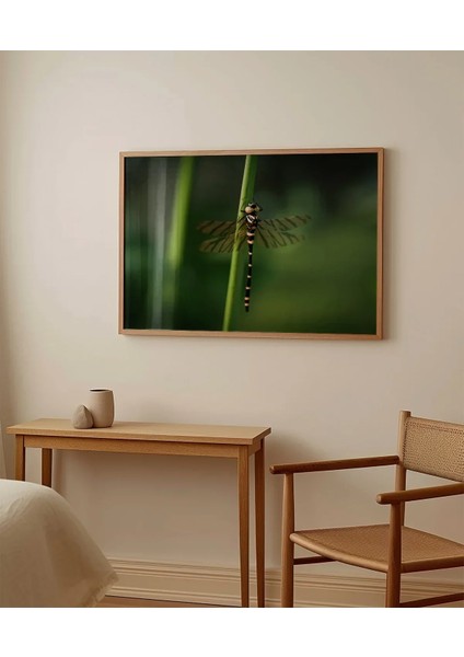 Yeşil Arka Planda Yusufçuk Poster fırsatları