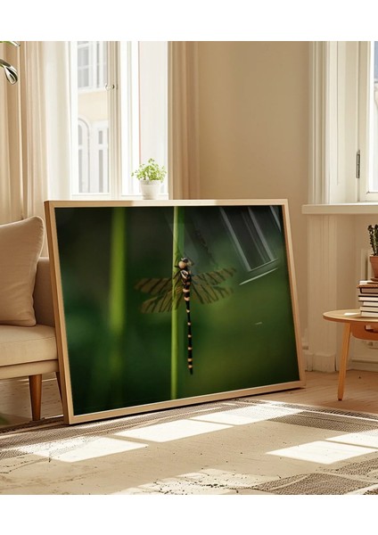 Yeşil Arka Planda Yusufçuk Poster indirimleri