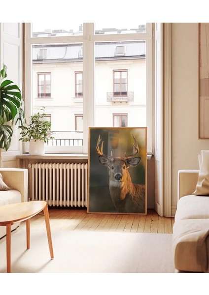 Ormandaki Geyik Poster indirimleri