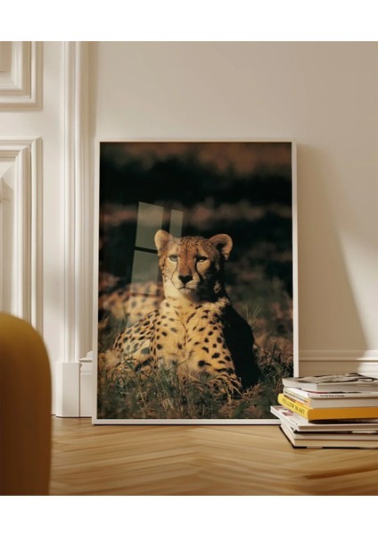 Çayırda Yatan Çita Poster fırsatları