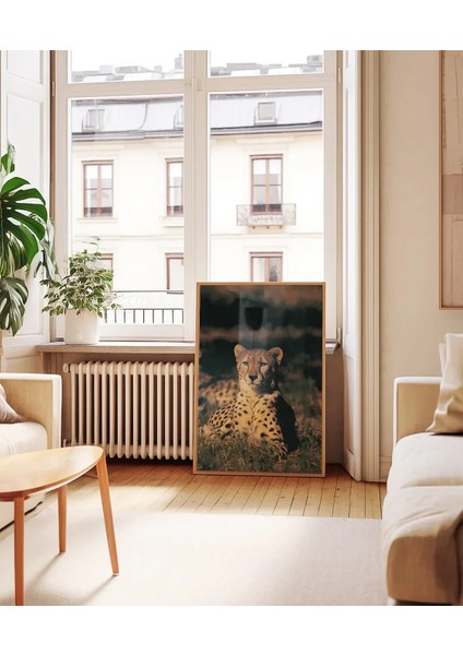 Çayırda Yatan Çita Poster indirimleri