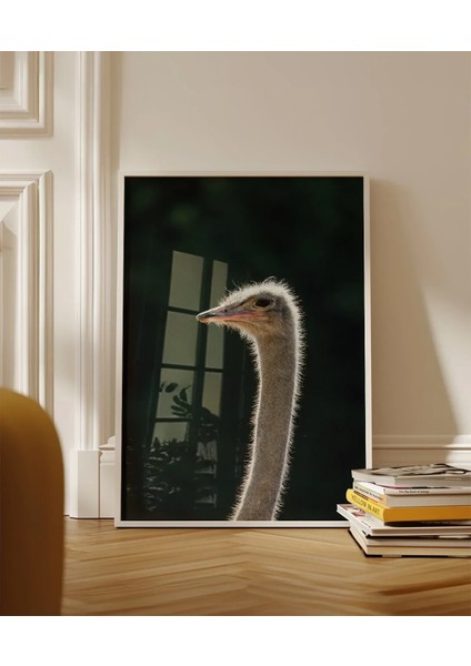 1. Devekuşu Portresi Poster fırsatları