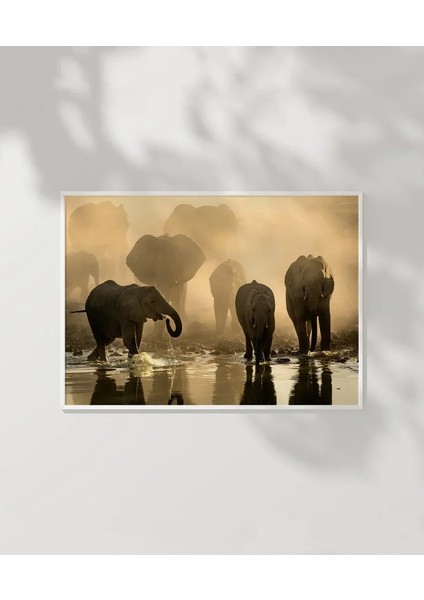 Fil Ailesi Gün Batımı Poster modelleri