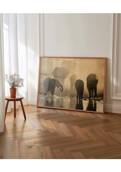 Fil Ailesi Gün Batımı Poster fırsatları