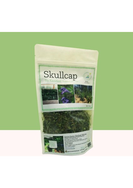 Skullcap (Su Kasidesi) 50 gr | Scutellaria x Galericulata | Bahçeden | Haven Herbs & Blends