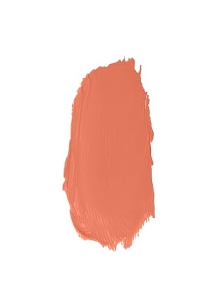 Lips Favorite Longwearing Lipstick Kalıcı Ruj 307 Coffee With Cream, Nude fiyatları