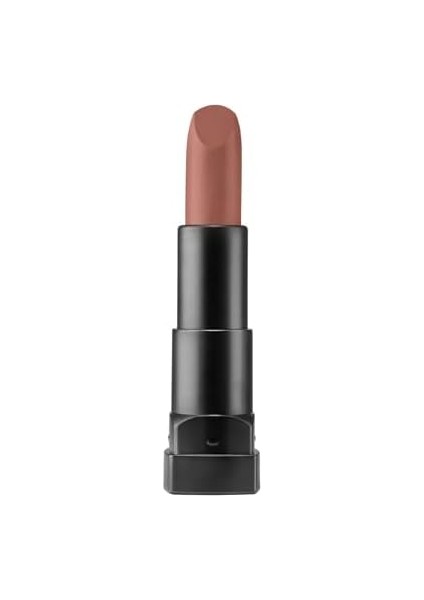 Profashion Matte Lipstick Nude 588
