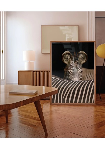 Zebra Yakın Plan Poster fırsatları