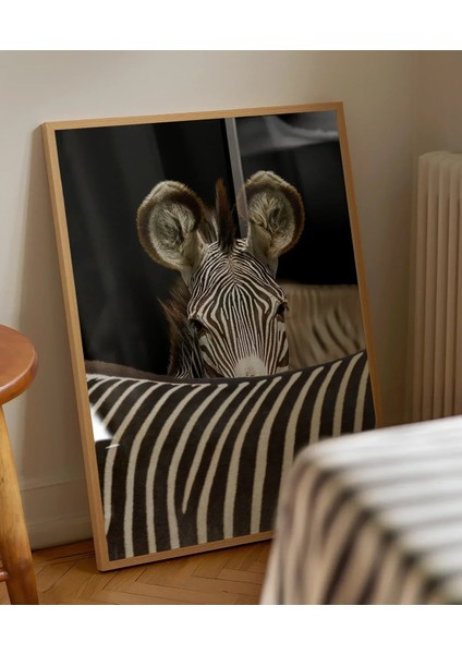 Zebra Yakın Plan Poster indirimleri