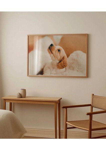 Yavru Köpek Bakışı Poster fırsatları