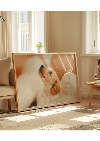 Yavru Köpek Bakışı Poster indirimleri
