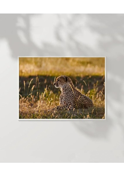 Avcı Leopar Poster modelleri