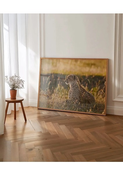 Avcı Leopar Poster fırsatları