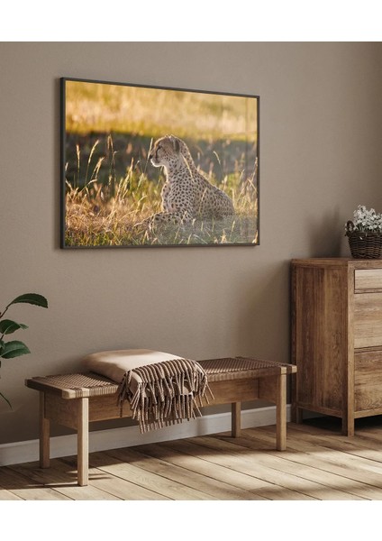 Avcı Leopar Poster indirimleri