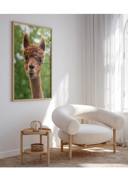 Kahverengi Lama Poster fırsatları